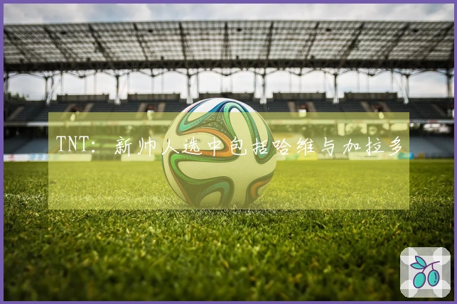 TNT：新帅人选中包括哈维与加拉多