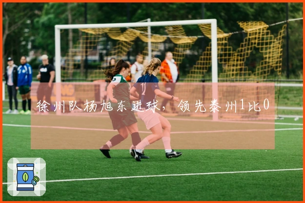 徐州队杨旭东进球，领先泰州1比0